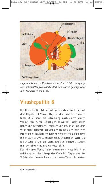 Hepatitis B