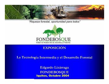 EXPOSICIÓN La Tecnología Intermedia y el Desarrollo Forestal ...