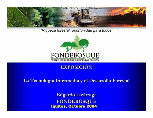 EXPOSICIÓN La Tecnología Intermedia y el Desarrollo Forestal ...