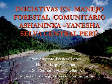 ESTUDIOS DE CASO DE MANEJO FORESTAL COMUNITARIO ...