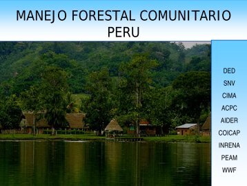 MANEJO FORESTAL COMUNITARIO - PERU - Sistema de ...