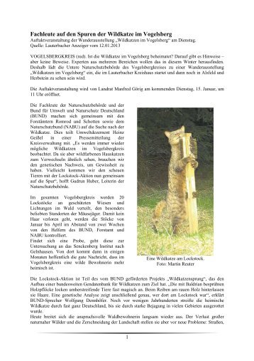 Fachleute auf den Spuren der Wildkatze im Vogelsberg