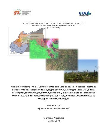 Analisis multitemporal Cambio Uso Suelo.pdf - MASRENACE