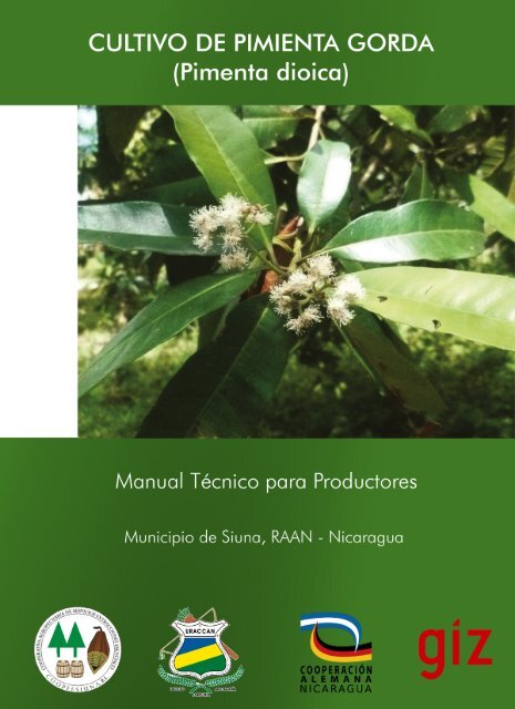 Manual tÃ©cnico para productores - Cultivo de la ... - MASRENACE