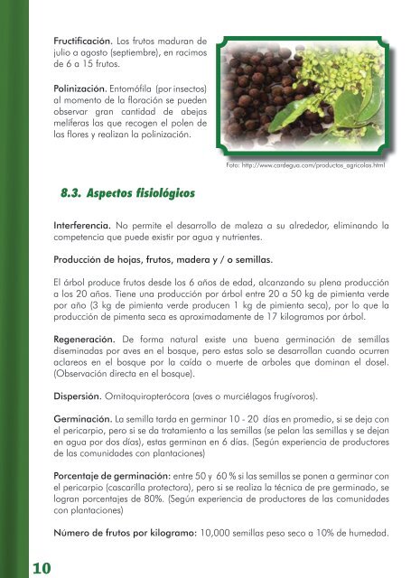 Manual tÃ©cnico para productores - Cultivo de la ... - MASRENACE