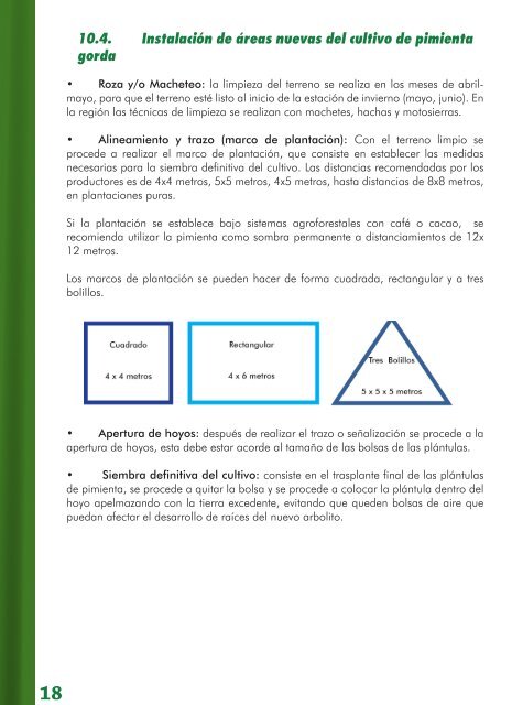 Manual tÃ©cnico para productores - Cultivo de la ... - MASRENACE