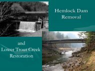Hemlock Dam Removal