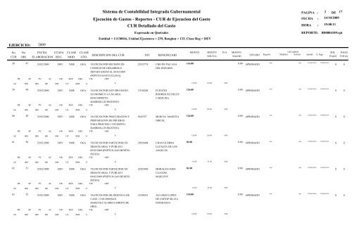 Ejecución de Gastos - Reportes - CUR de Ejecucion del Gasto ...