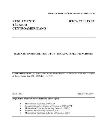 REGLAMENTO RTCA 67.01.15:07 TÉCNICO CENTROAMERICANO