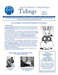 May/June 2010 Tidings Newsletter - Cape Cod Museum of Natural ...