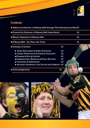 Strategic Plan - Kilkenny GAA