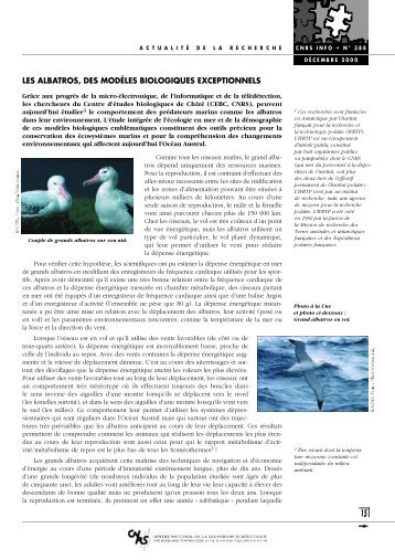 les albatros, des modÃ¨les biologiques exceptionnels - CNRS