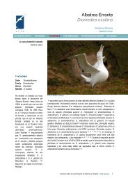 Albatros Errante Diomedea exulans - Agreement on the ...