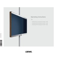 Loewe clearance tv 2008
