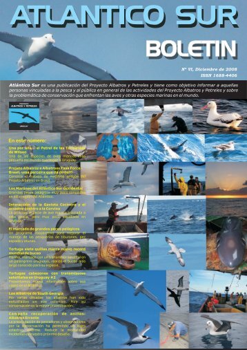Los Albatros de South Georgia - cicmar
