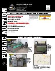 Download Brochure - American Auctioneers Group