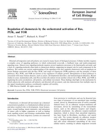 Regulation of chemotaxis by the orchestrated activation of Ras, PI3K ...