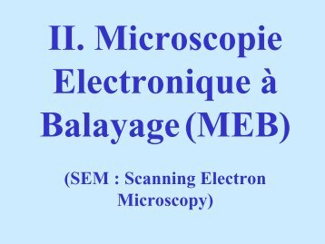 Microscopies électronique à balayage et à effet Tunnel