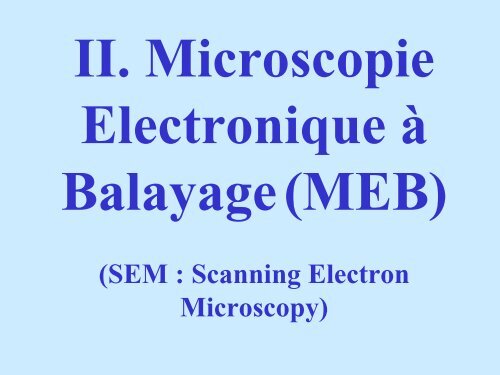 Schéma d'un microscope électronique à balayage. Le faisceau d