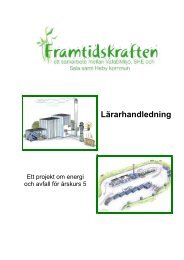 LÃ¤rarhandledning Framtidskraften (pdf 2,0 MB) - Sala kommun