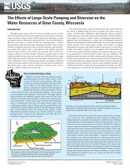 The Effects of Large-Scale Pumping and Diversion on ... - Wisconsin