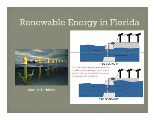 Energy in the 21st Century - Sarasota County Extension