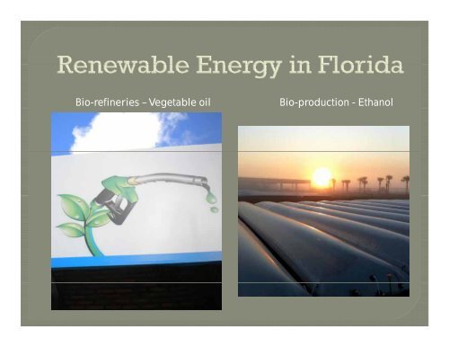 Energy in the 21st Century - Sarasota County Extension