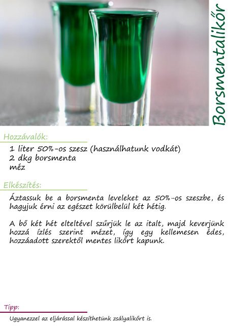 Magyar Családi Receptfüzet