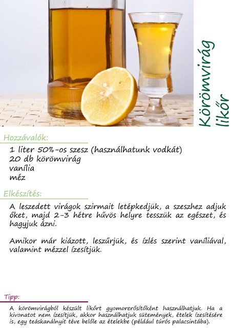 Magyar Családi Receptfüzet
