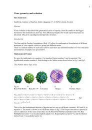 Virus, geometry and evolution - Sandforsk