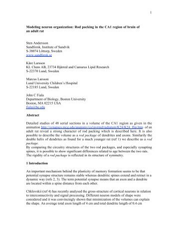 1 Modeling neuron organization: Rod packing in the ... - Sandforsk