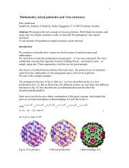 Mathematics, mixed polyhedra and virus structures - Sandforsk