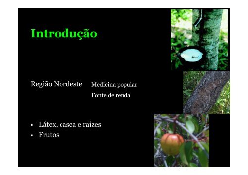 (Microsoft PowerPoint - SEMIN\301RIOII.ppt [Somente leitura] [Modo ...