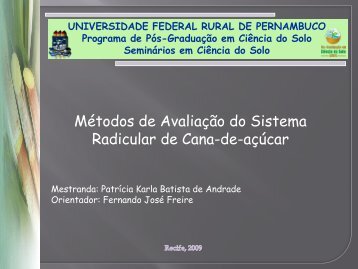 Métodos de Avaliação do Sistema Radicular de Cana-de-açúcar