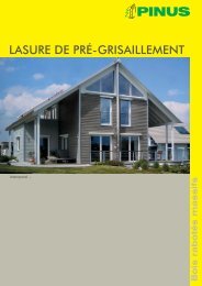 LASURE DE PRÃƒÂ‰-GRISAILLEMENT - Pinus