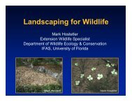 Landscap - Okeechobee County Extension Service - University of ...