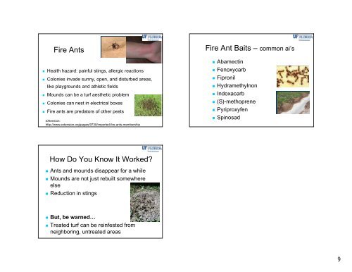 Important Insect Pests in Warm Season Turfgrasses Turfgrass Pest ...