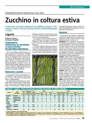 Zucchino in coltura estiva - InfoKeeper