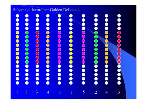 Prove di dirado di Gala e Golden Delicious con ... - InfoKeeper