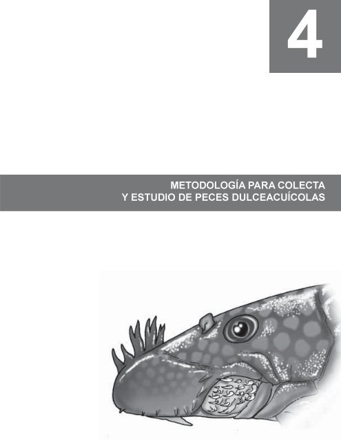 PECES DE LOS ANDES DE COLOMBIA - Instituto de InvestigaciÃ³n ...