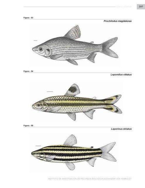 PECES DE LOS ANDES DE COLOMBIA - Instituto de InvestigaciÃ³n ...