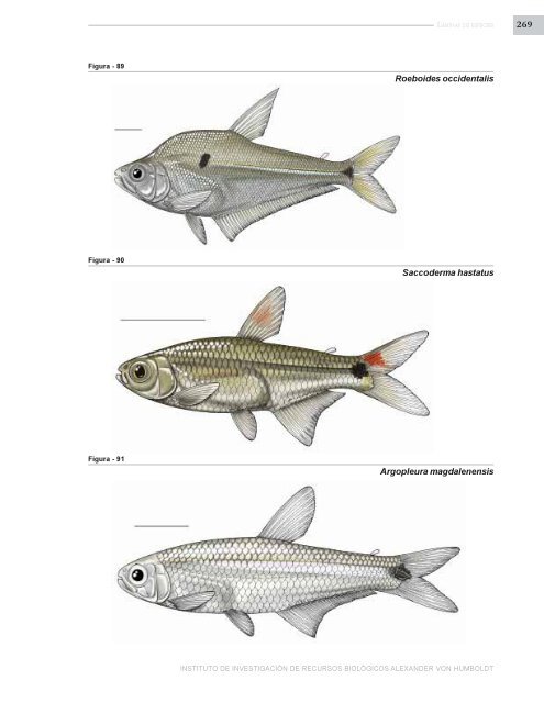 PECES DE LOS ANDES DE COLOMBIA - Instituto de InvestigaciÃ³n ...