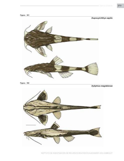 PECES DE LOS ANDES DE COLOMBIA - Instituto de InvestigaciÃ³n ...