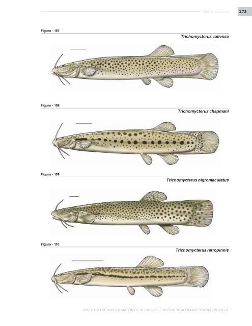 PECES DE LOS ANDES DE COLOMBIA - Instituto de InvestigaciÃ³n ...