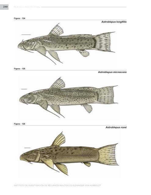 PECES DE LOS ANDES DE COLOMBIA - Instituto de InvestigaciÃ³n ...