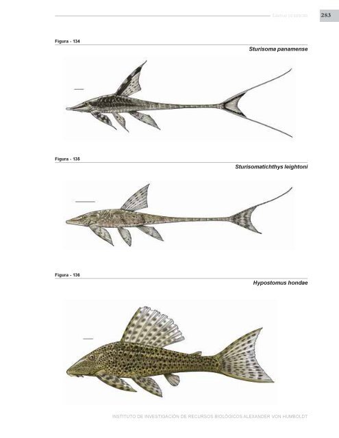 PECES DE LOS ANDES DE COLOMBIA - Instituto de InvestigaciÃ³n ...