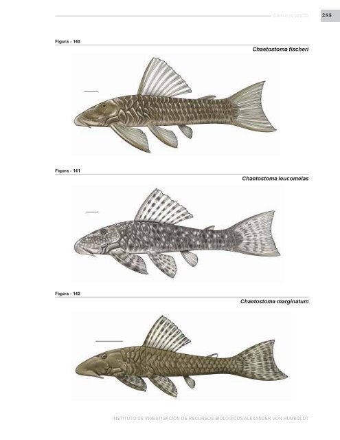 PECES DE LOS ANDES DE COLOMBIA - Instituto de InvestigaciÃ³n ...