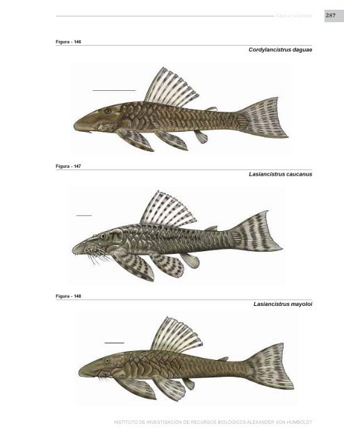 PECES DE LOS ANDES DE COLOMBIA - Instituto de InvestigaciÃ³n ...