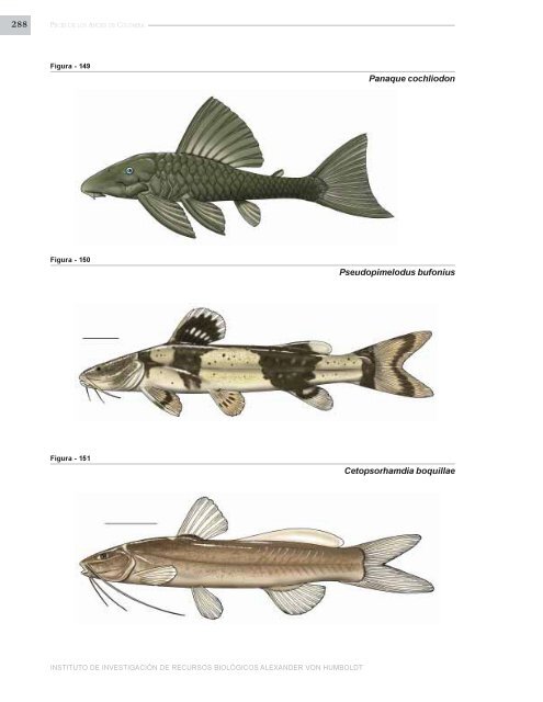 PECES DE LOS ANDES DE COLOMBIA - Instituto de InvestigaciÃ³n ...