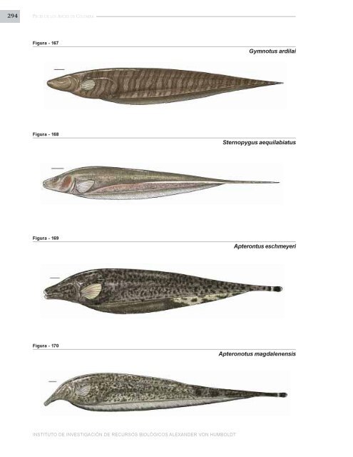 PECES DE LOS ANDES DE COLOMBIA - Instituto de InvestigaciÃ³n ...